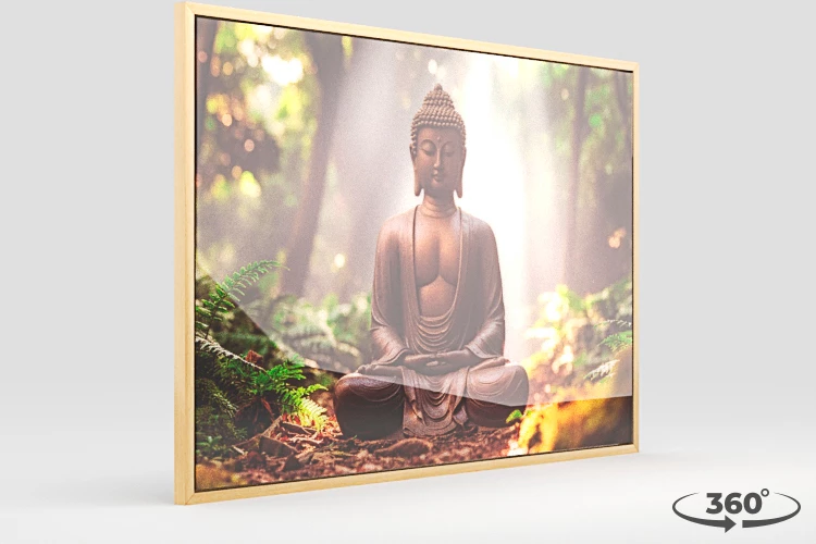 360 view of the product