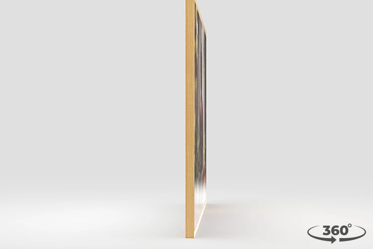 360 view of the product