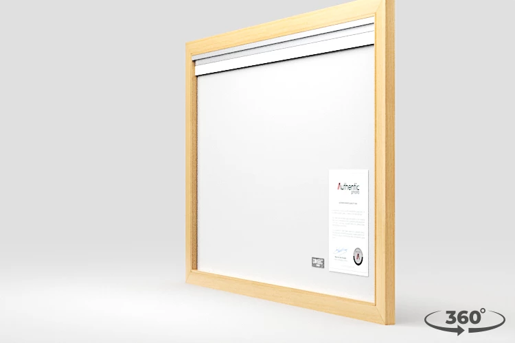 360 view of the product