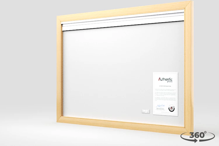 360 view of the product