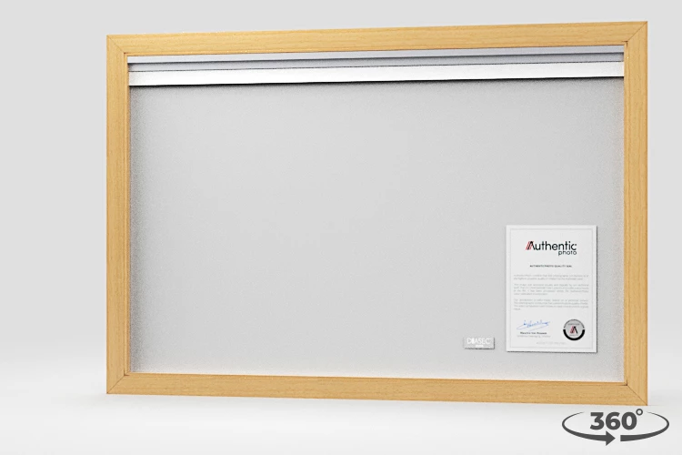 360 view of the product