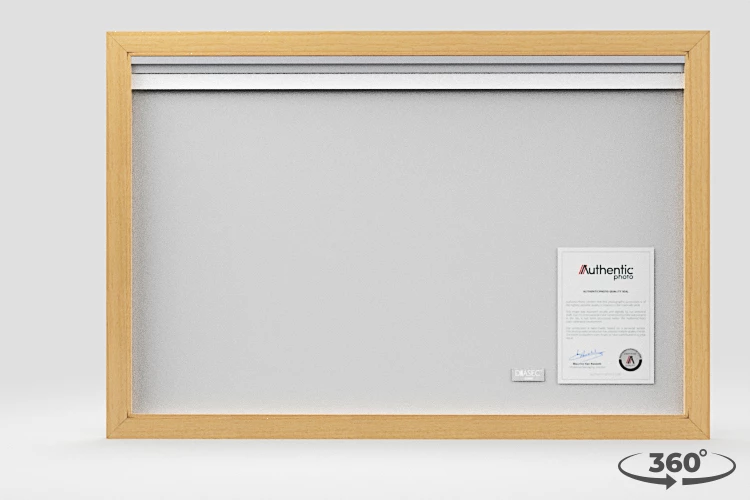 360 view of the product