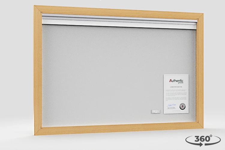 360 view of the product