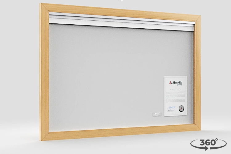 360 view of the product