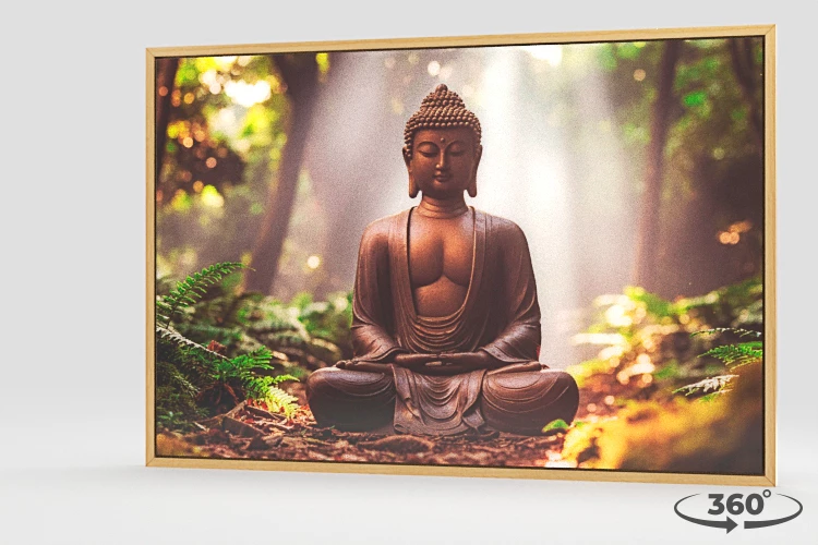 360 view of the product