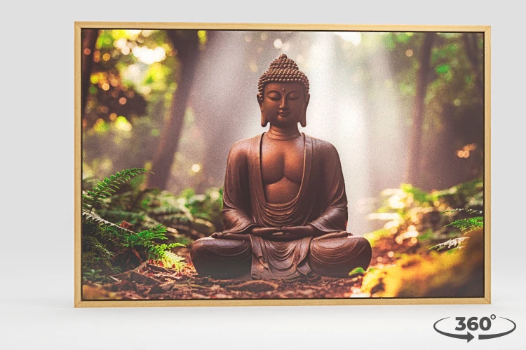 360 view of the product