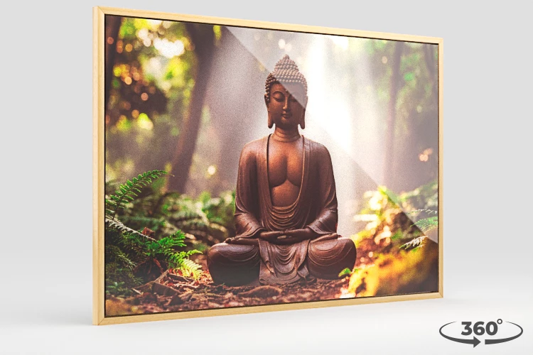 360 view of the product