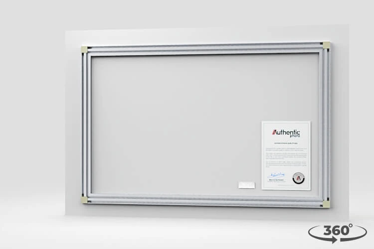 360 view of the product