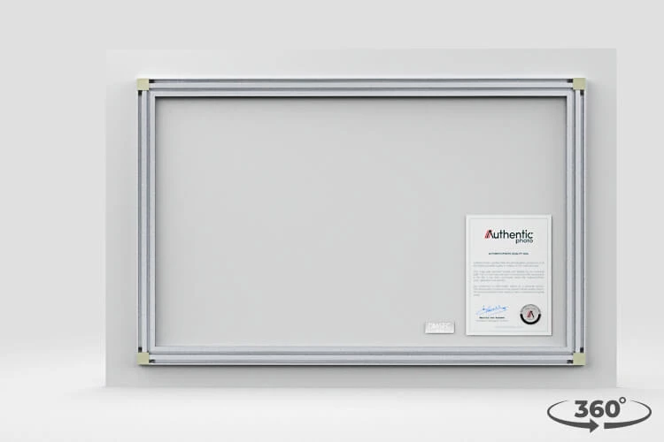 360 view of the product