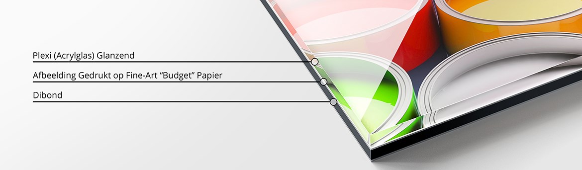 Detailweergave van een Fine-Art achter Plexi - Face-Mounting met Silicone - Versie Budget Glanzend.