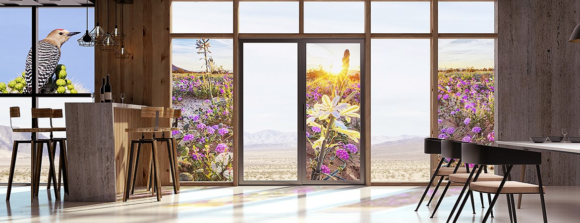 Translucent Opale Film, verlicht met natuurlijk licht.