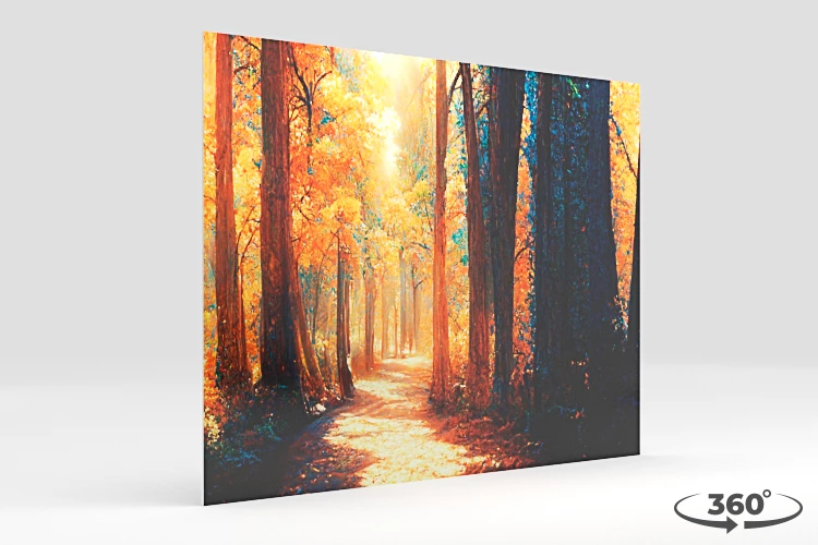 360 view of the product