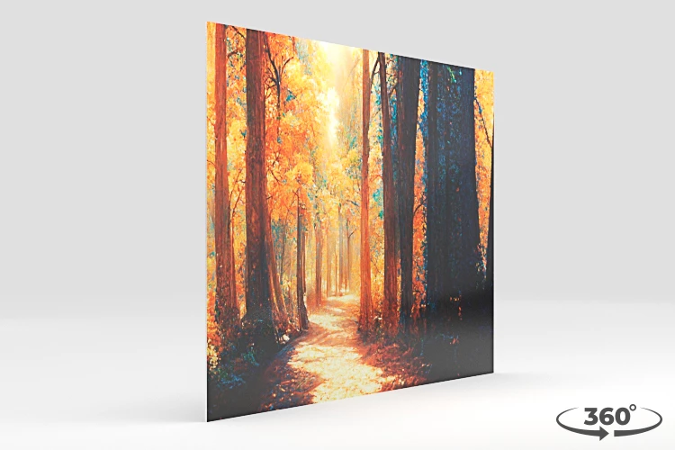 360 view of the product