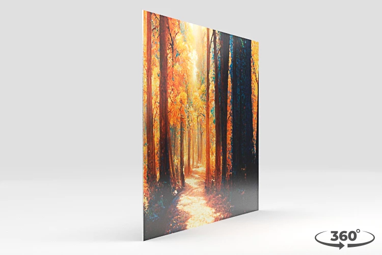 360 view of the product