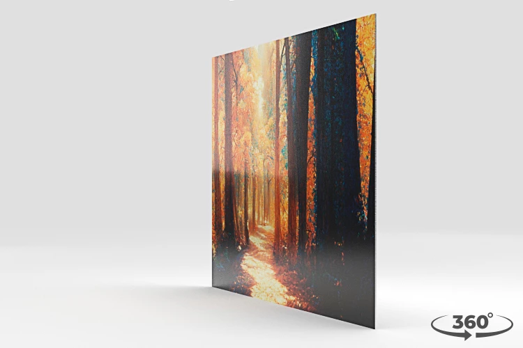 360 view of the product