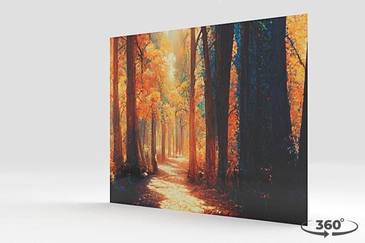 360 view of the product