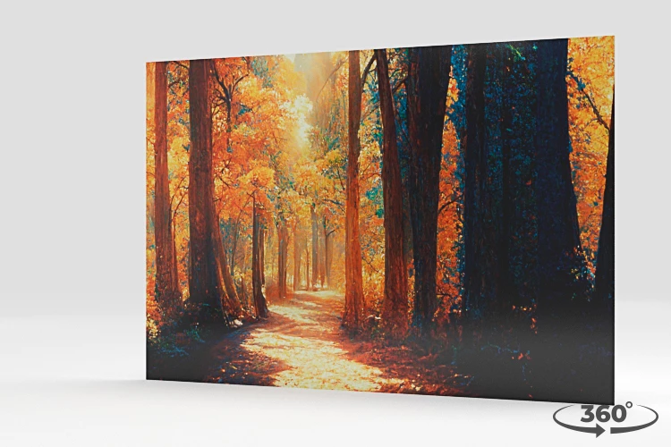 360 view of the product