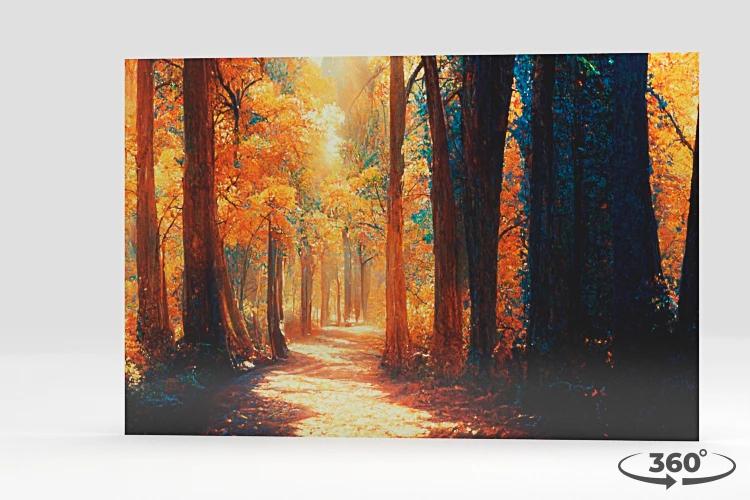 360 view of the product