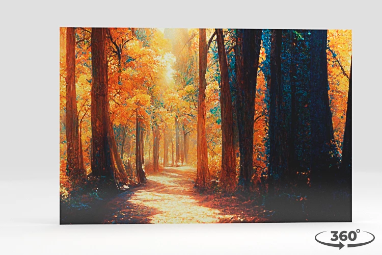 360 view of the product