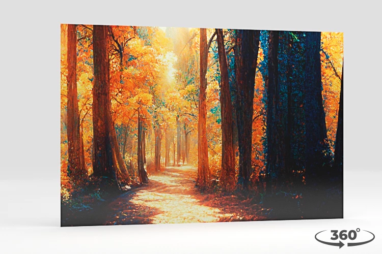 360 view of the product