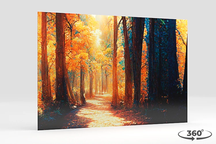 360 view of the product