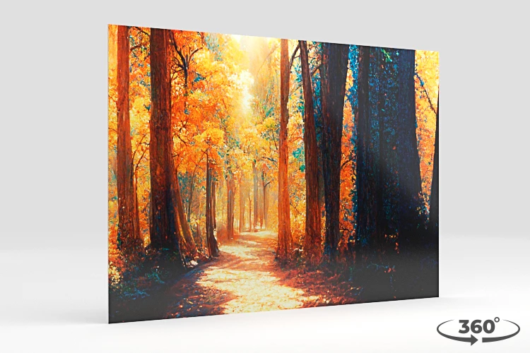 360 view of the product