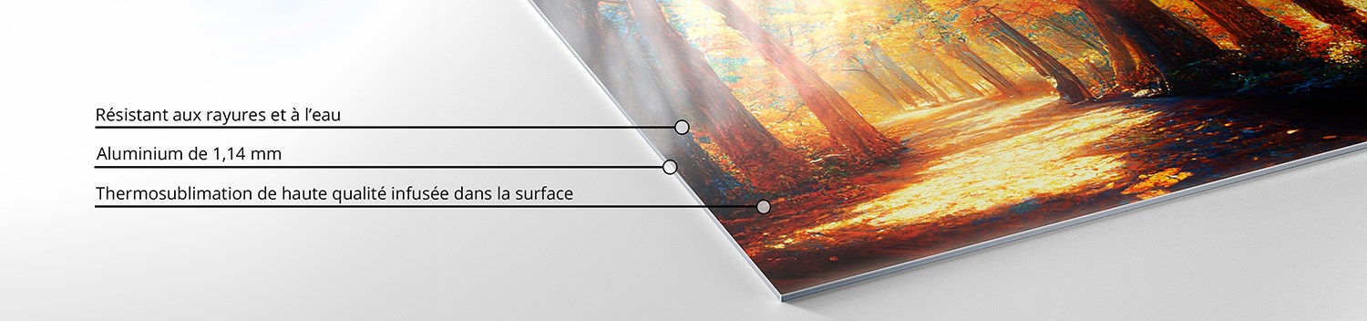 Détail d'un Chromaluxe d'une épaisseur de 1,4 mm et qui est résistant aux UV, aux rayures et à l'eau. Une impression de haute qualité est infusée dans la surface.