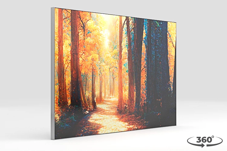 360 view of the product