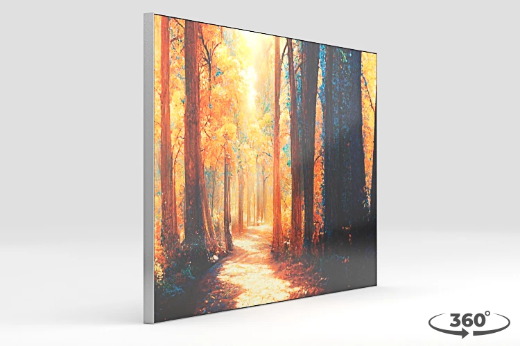 360 view of the product