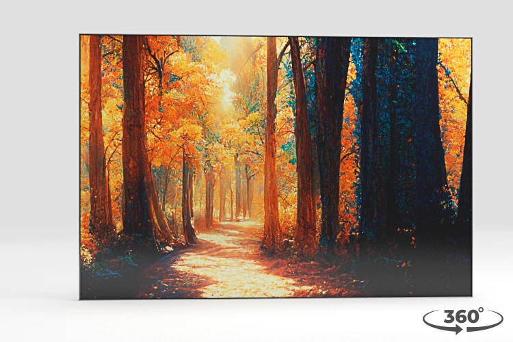 360 view of the product