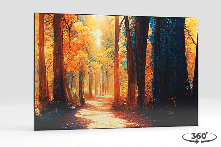 360 view of the product