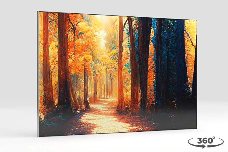 360 view of the product