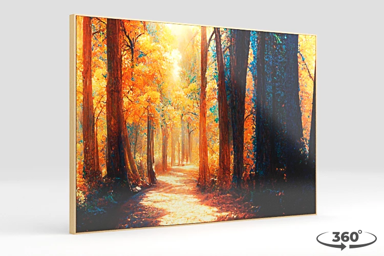 360 view of the product