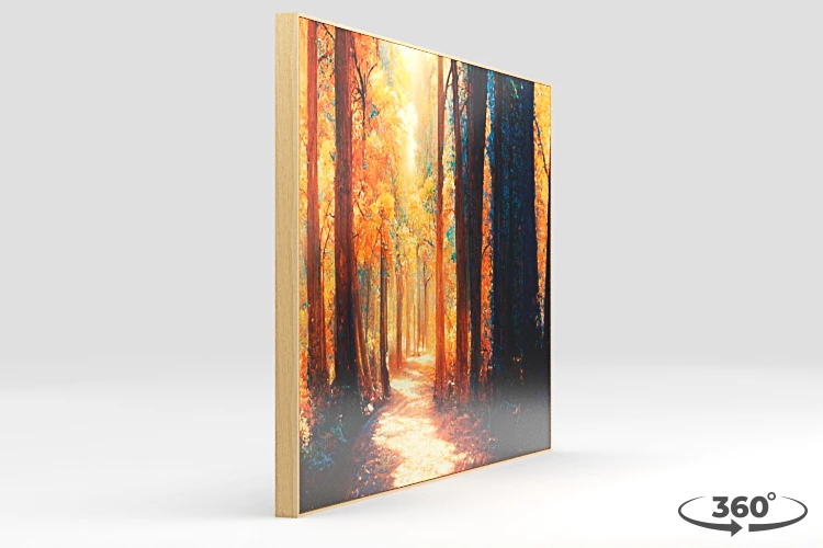 360 view of the product