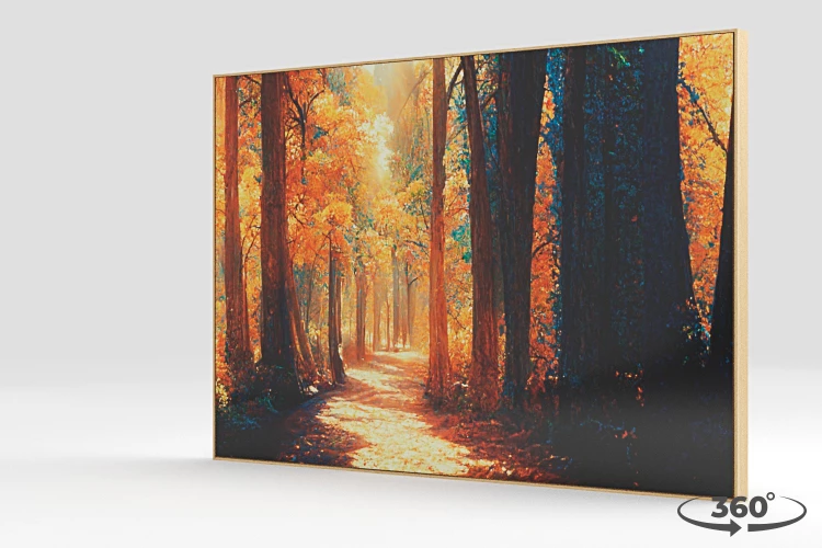 360 view of the product