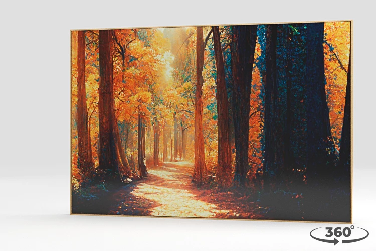 360 view of the product