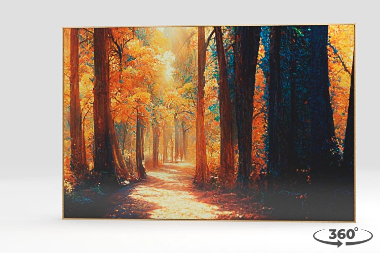 360 view of the product