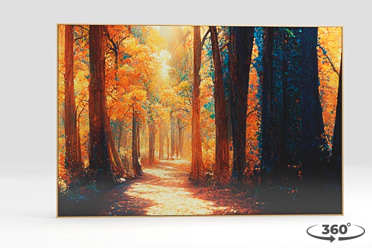 360 view of the product