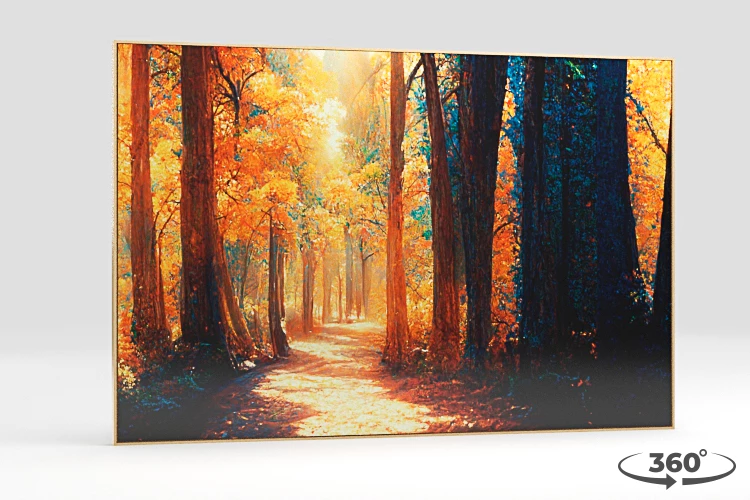 360 view of the product