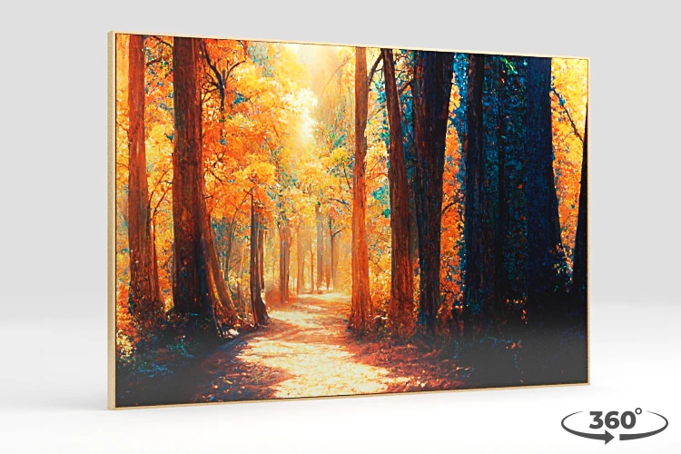 360 view of the product