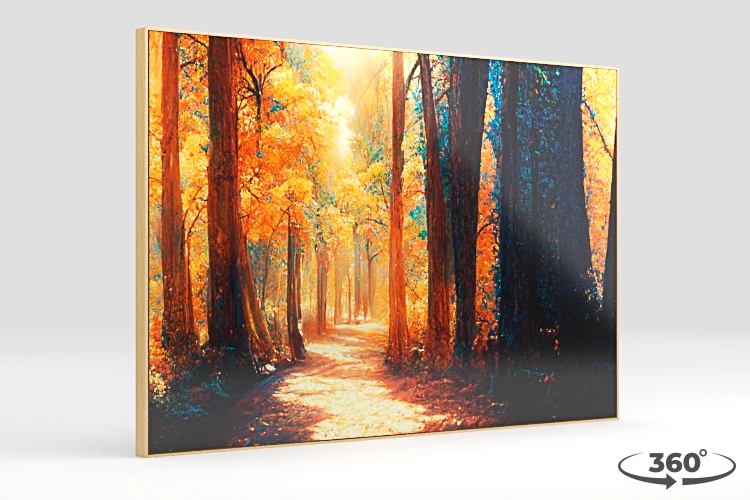 360 view of the product