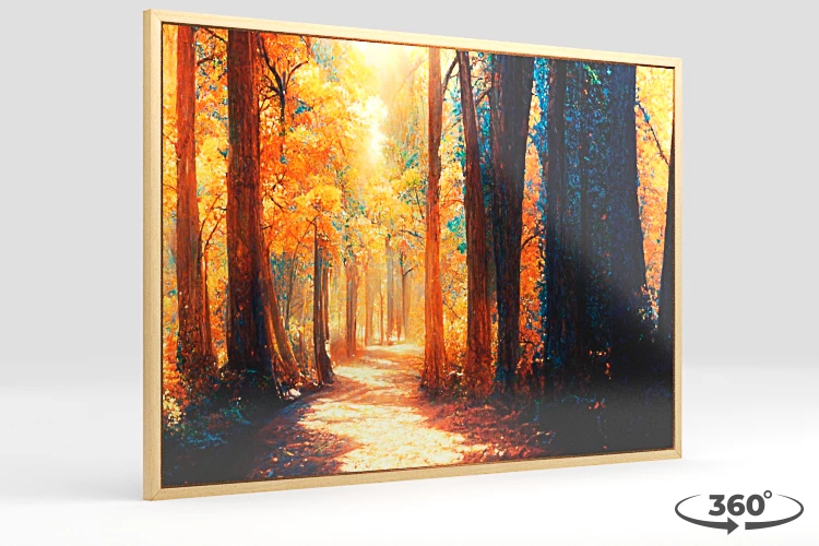 360 view of the product