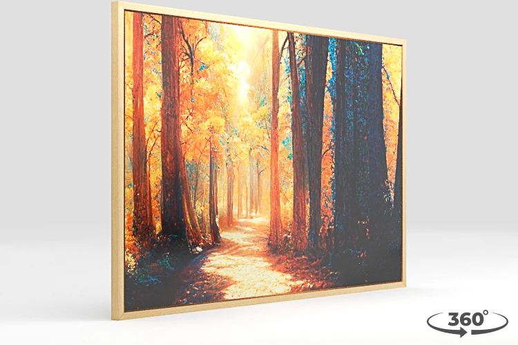 360 view of the product