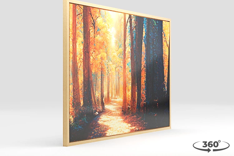 360 view of the product