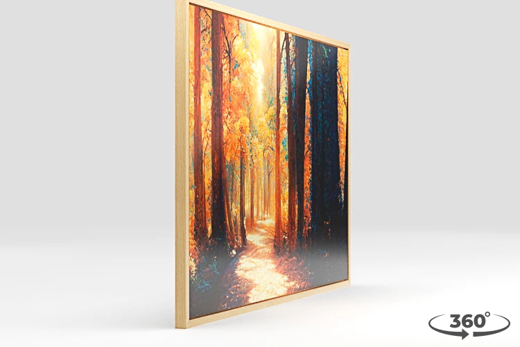 360 view of the product