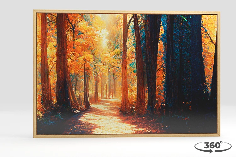 360 view of the product