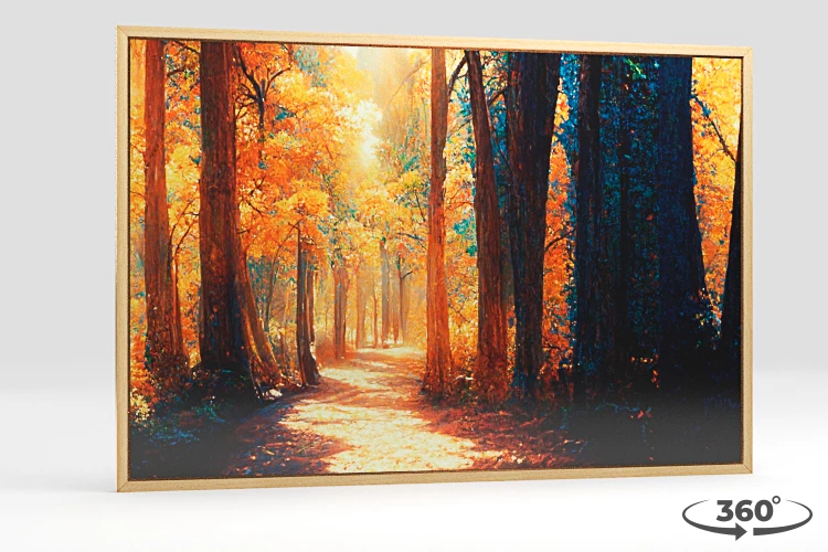 360 view of the product