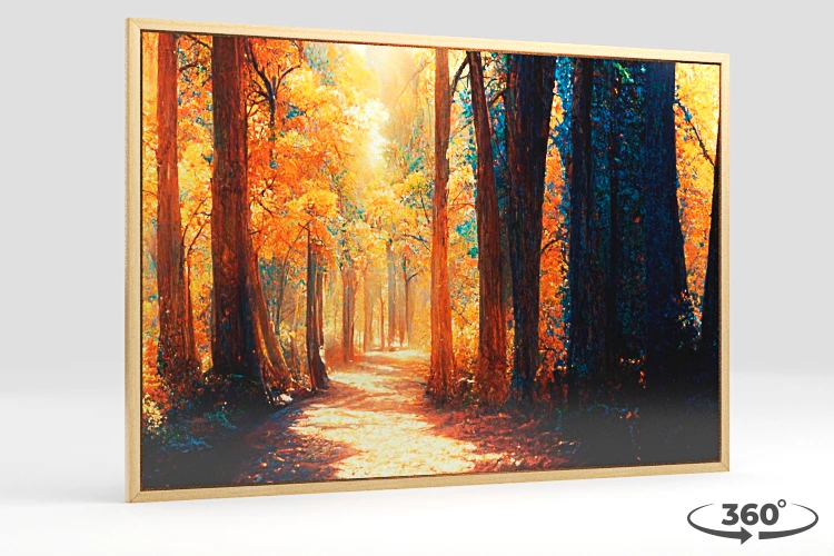 360 view of the product