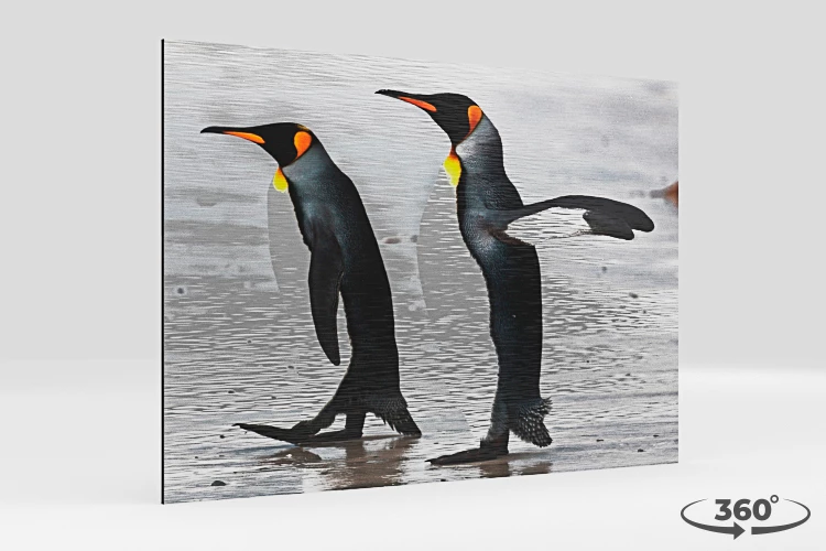 360 view of the product