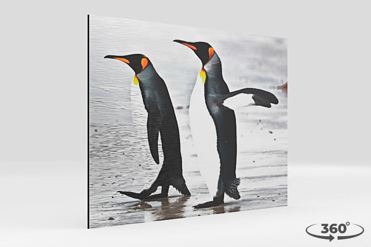 360 view of the product